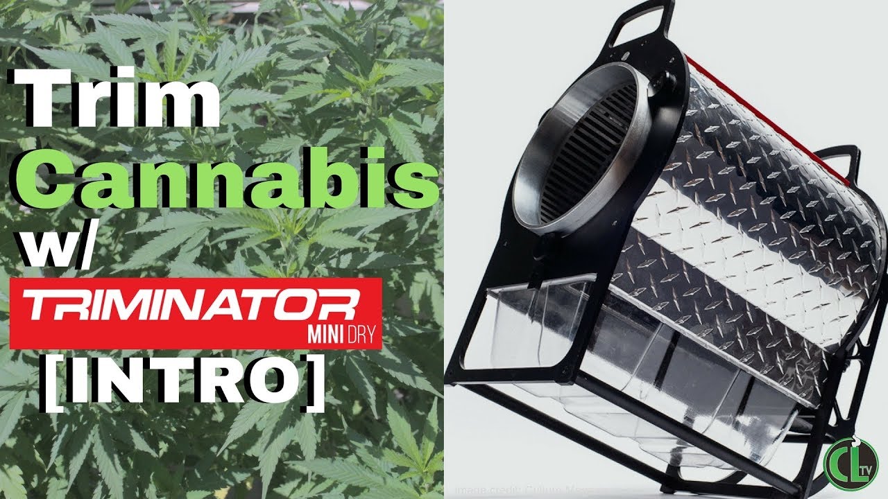 Triminator Mini Dry Review + Tutorial Series | Cannabis Lifestyle TV