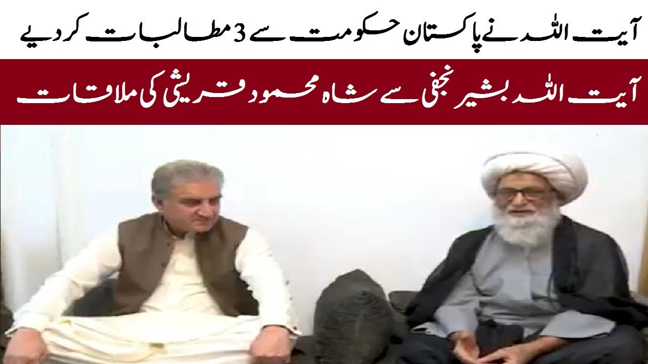 Foreign Minister Shah Mahmood Qureshi Meeting with Ayatollah Bashir Hussain Najafi In Najaf Iraq