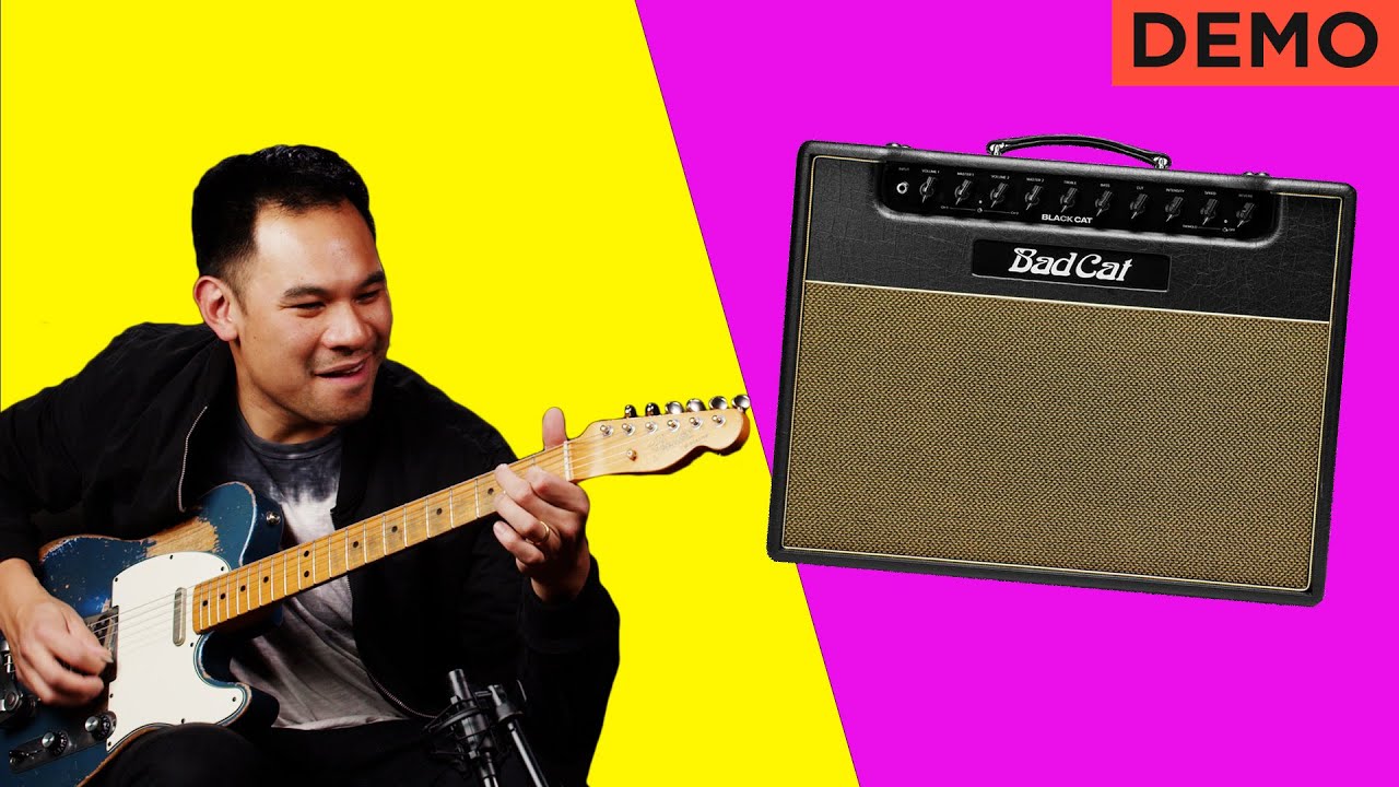 Chime and Grind | 2022 Bad Cat Black Cat Amplifier
