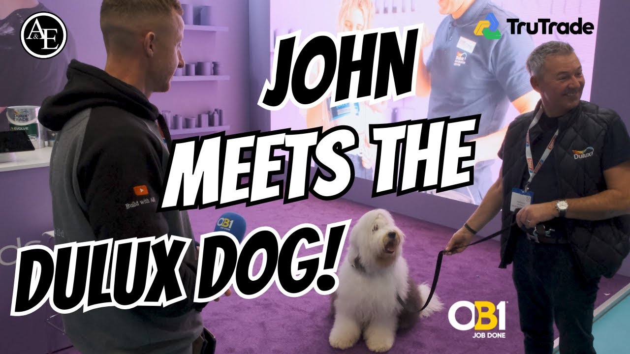 JOHN MEETS THE DULUX DOG! 🎨 UNMISSABLE highlights from the National Painting & Decorating Show 🐾