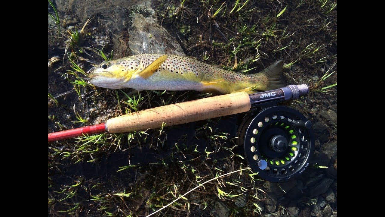 Pêche à la mouche en lac des Pyrénées