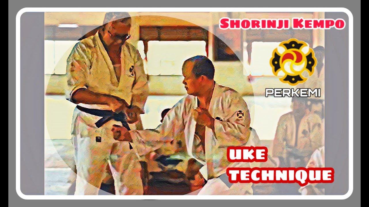 how about uke technique blow punch