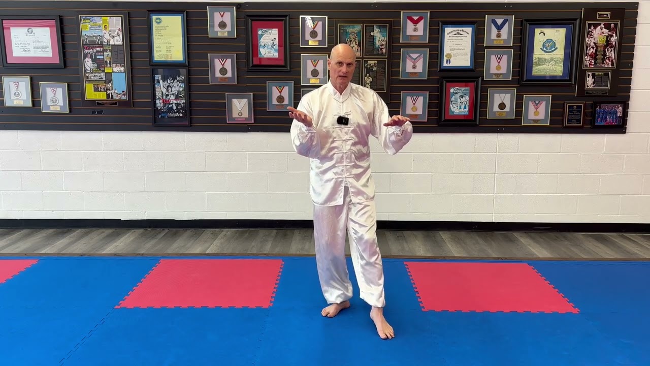 How to perform “White Crane Spreads its Wings” Tai Chi movement 