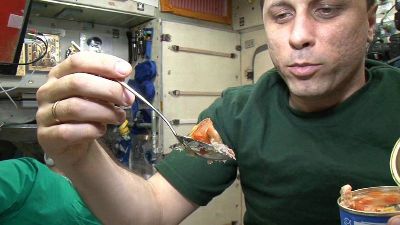 Russian Cosmonaut Anton Shkaplerov's first space experience