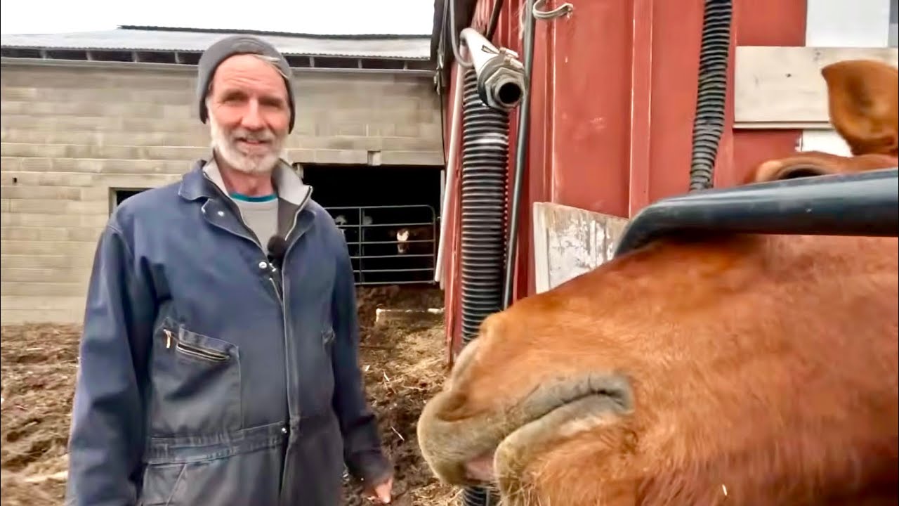 Jim&rsquo;s had ENOUGH- Maybe these Suffolks should Go!!!!! #901