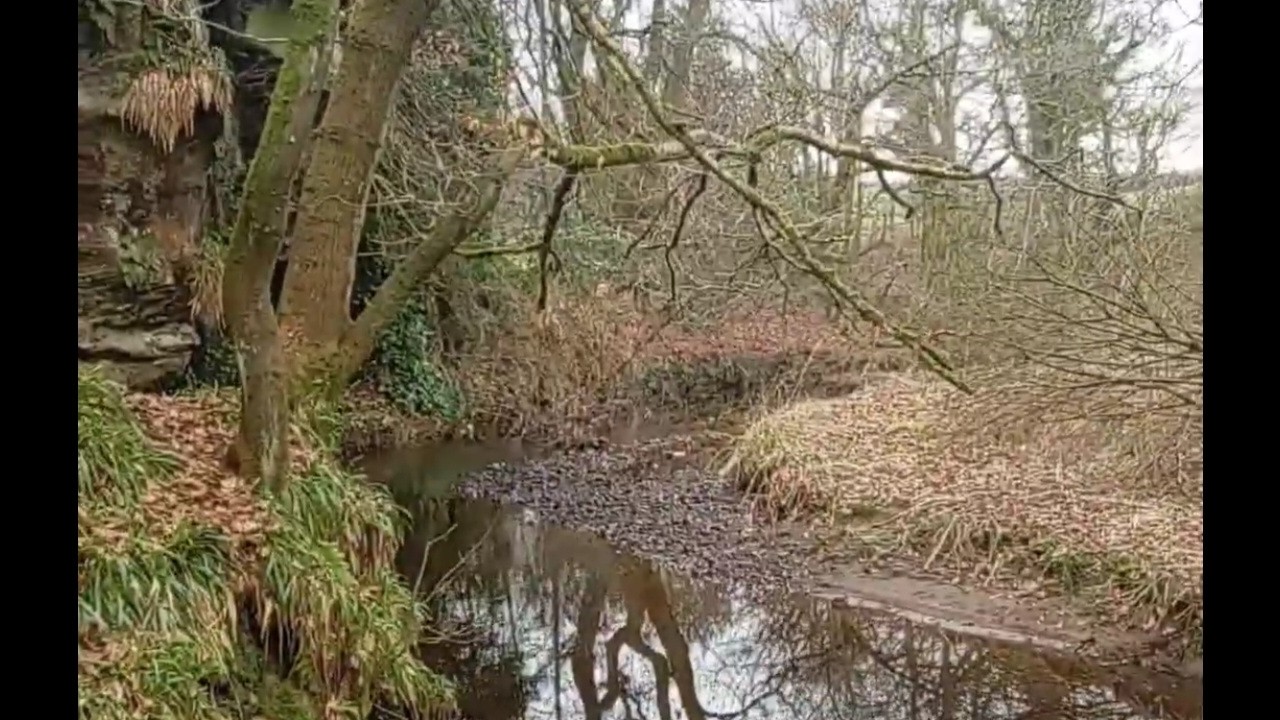 Bottledigging Near old distillery in Renfrewshire.
