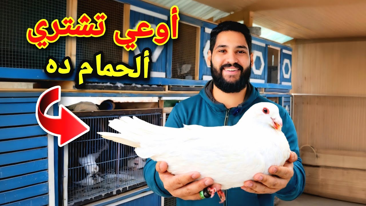 اوعي تشتري الحمام ده 👌حتي لو ببلاش 😯