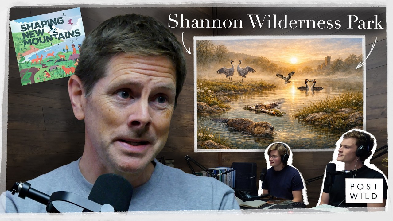 Rewilding Ireland: What Happens When We Step Back?