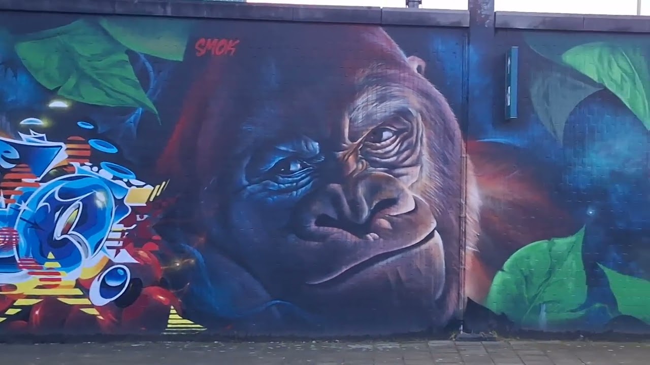 ANTWERPEN-BERCHEM-NMBS-station --- MURALS + STREETART op perrons 6+7, zuidkant, ZA. 17-01-2026 17u15