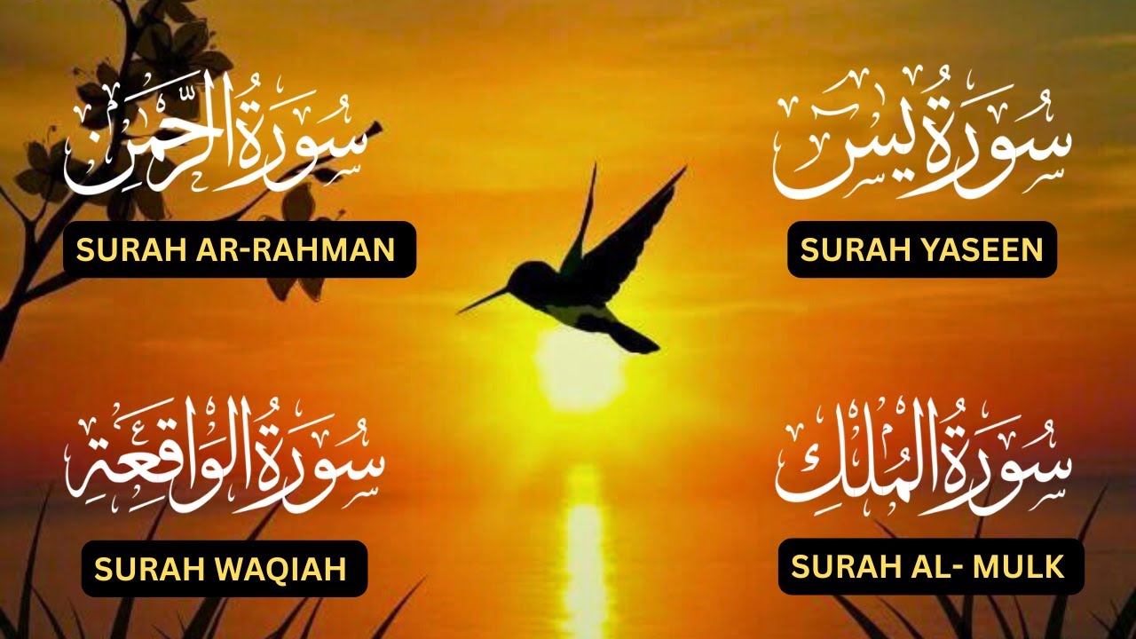 Surah Yaseen♥️, Surah Rahman♥️,Surah Waqiah♥️,Surah Al Mulk♥️| Best Quran Tilawat For Heart & Soul❤️