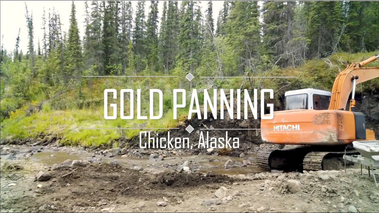Gold Panning in Chicken Alaska