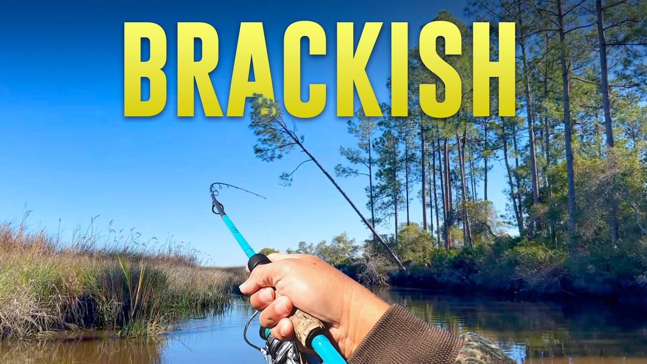 The HUNT For Jacksonville STRIPER / Part 1