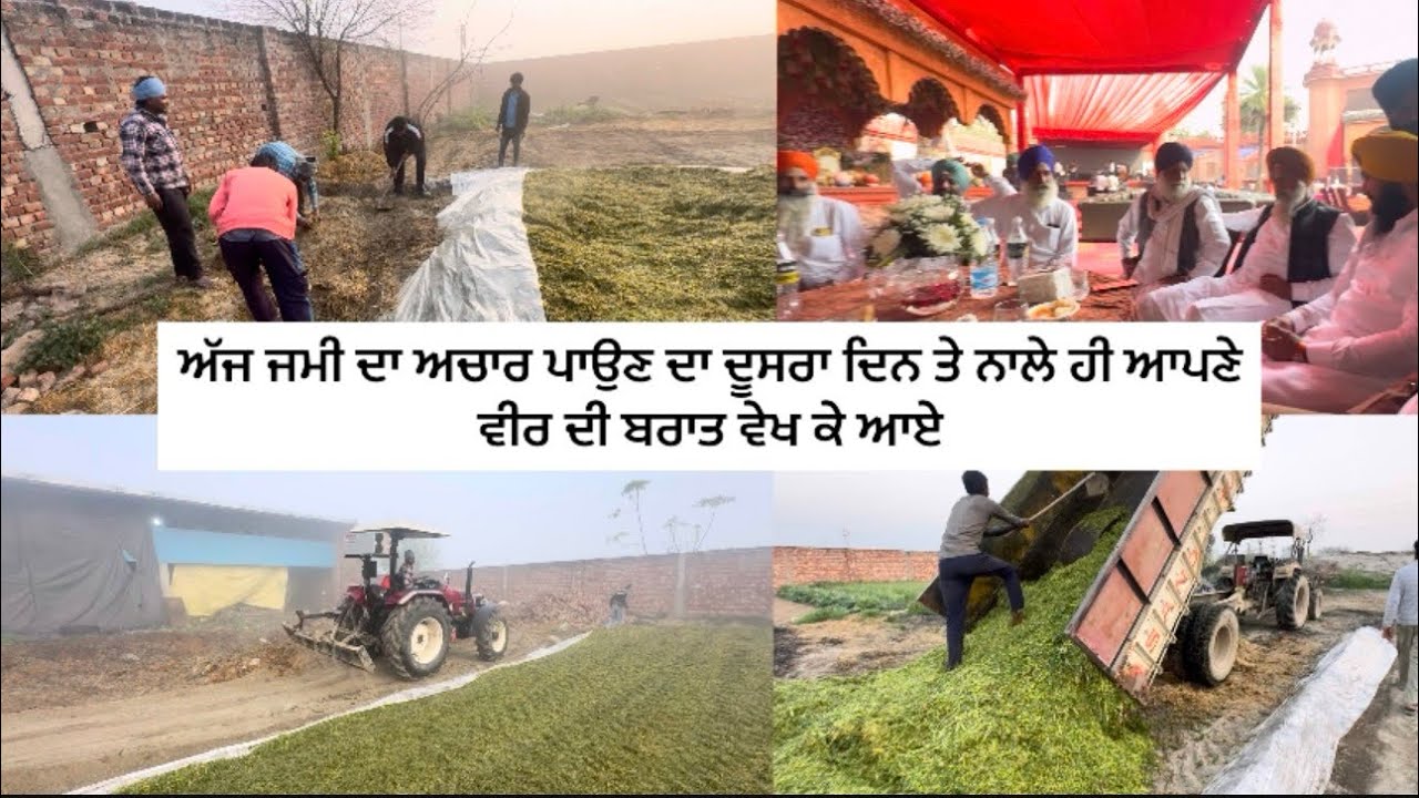 ਅੱਜ ਜਮੀ ਦਾ ਅਚਾਰ ਪਾਉਣ ਦਾ ਦੂਸਰਾ ਦਿਨ ਤੇ ਨਾਲੇ ਹੀ ਆਪਣੇ ਵੀਰ ਦੀ ਬਰਾਤ ਵੇਖ ਕੇ ਆਏ