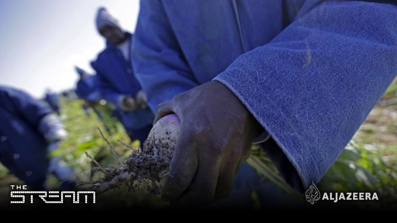 The Stream - The labour rights fight in US prisons