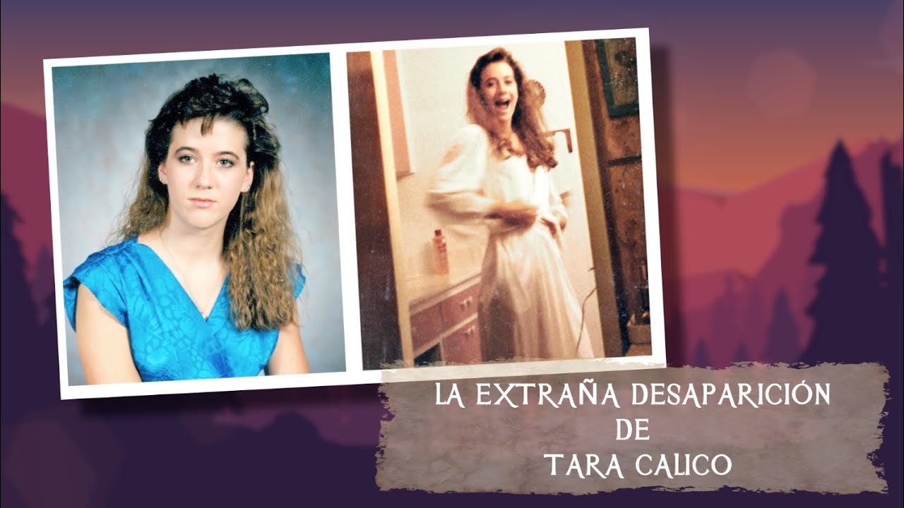 La EXTRAÑA DESAPARICIÓN de TARA CALICO - TOPCICLOPEDIA
