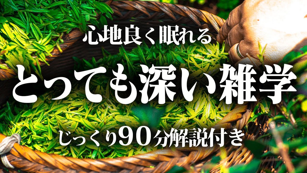 【睡眠導入】良質睡眠の深い雑学【リラックス】とても深い雑学編♪