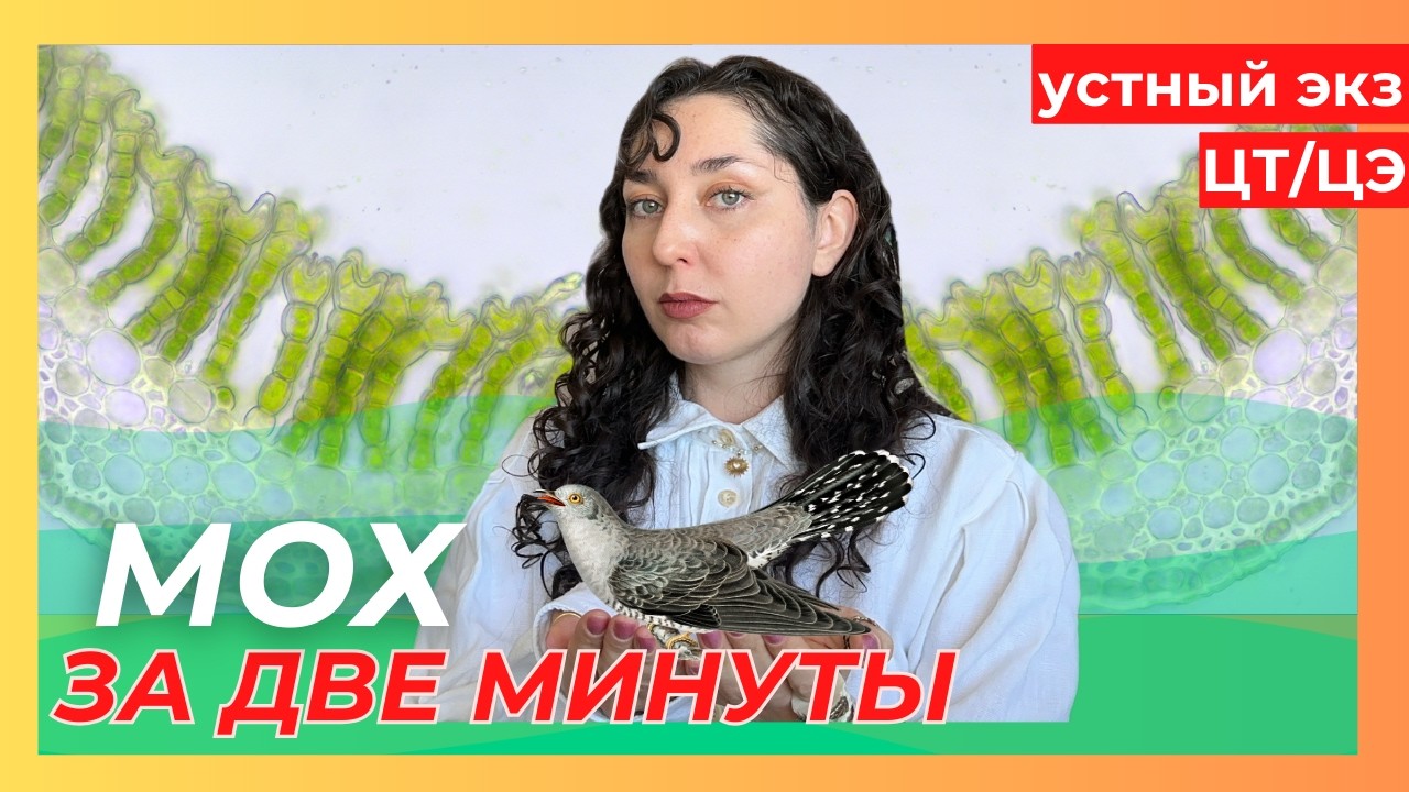 УСТНЫЙ ЭКЗАМЕН - 10 ВОПРОС, КУКУШКИН ЛЕН