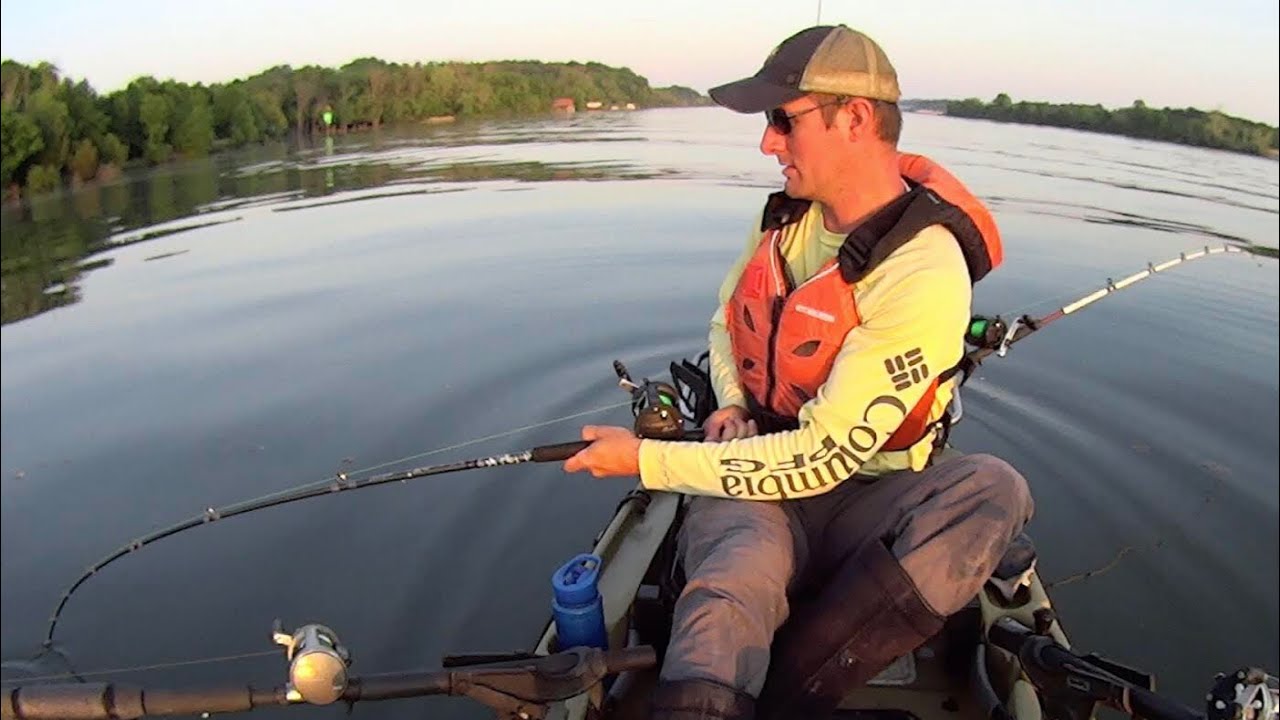 Suspend Drifting for Catfish with Cut White Bass