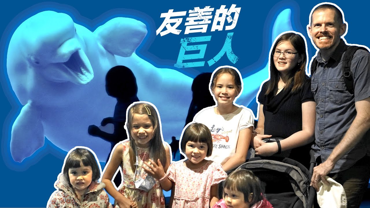 屏東友善的巨人與海裡的寶藏  （海生館 1）Taiwan's Amazing Aquarium, A Friendly Giant and other Sea Treasures