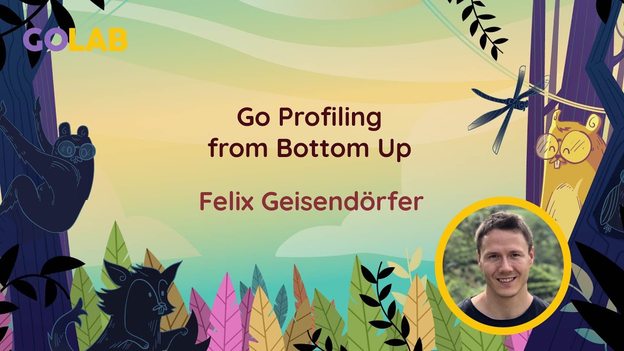 Go profiling from bottom up - Felix Geisendörfer