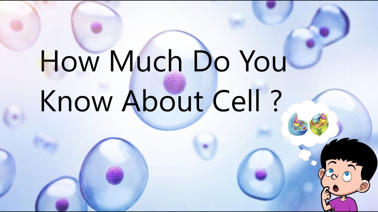 Quiz On Cell || Science Quiz || NCERT Based ||