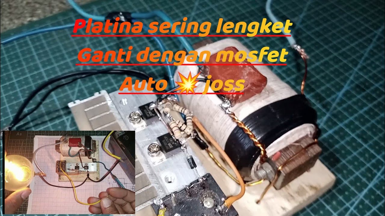 melilit spul setrum ikan tanpa platina