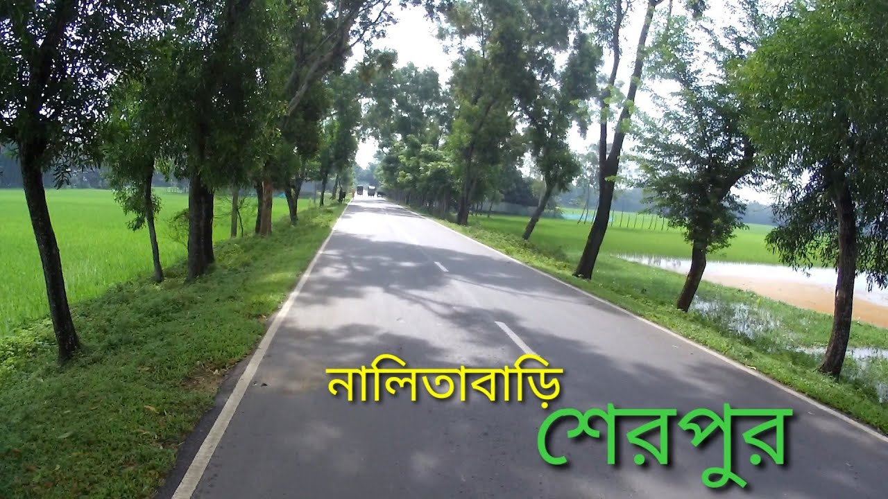 শেরপুর জেলার তিনানী থেকে নালিতাবাড়ি থানার রাস্তা।