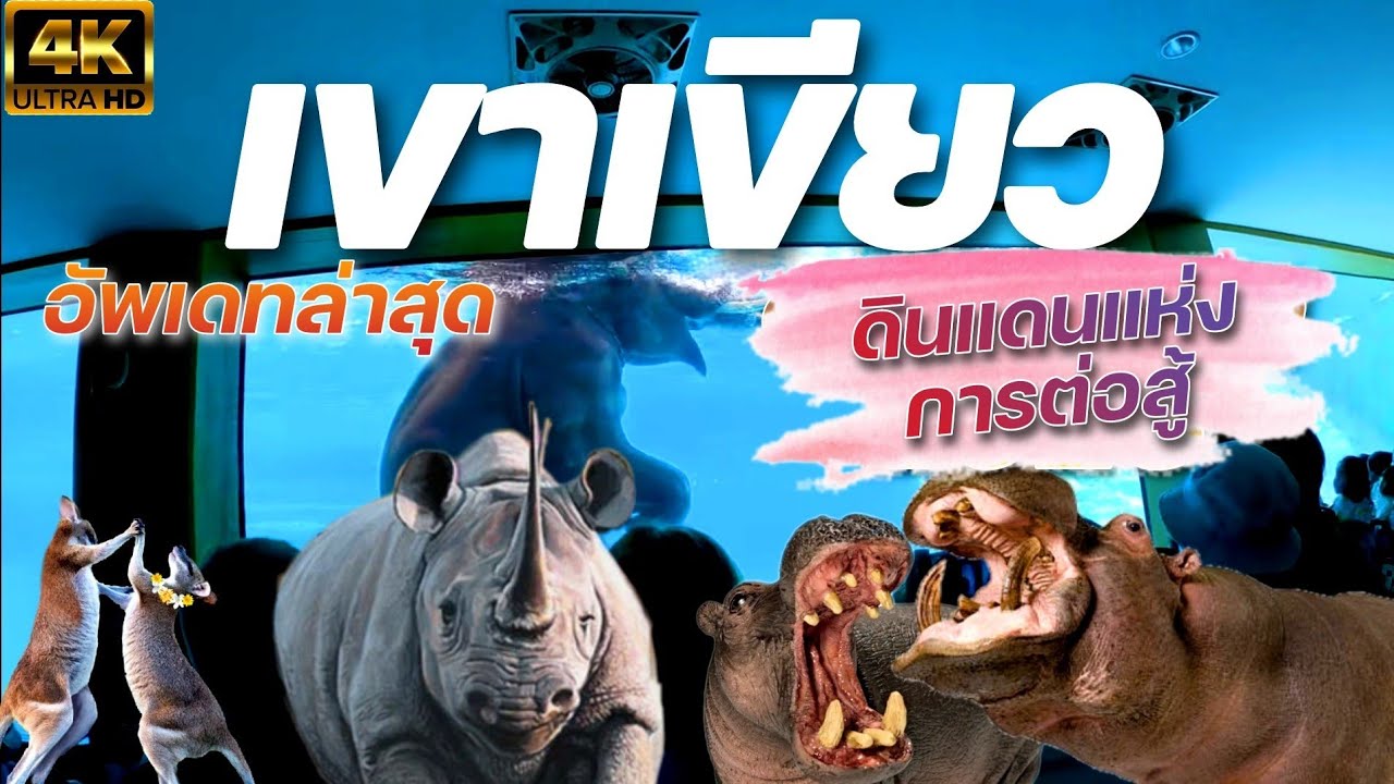 พาลูกเที่ยว@สวนสัตว์เปิดเขาเขียว อัพเดท 2023 ครบทุกโซน 4K