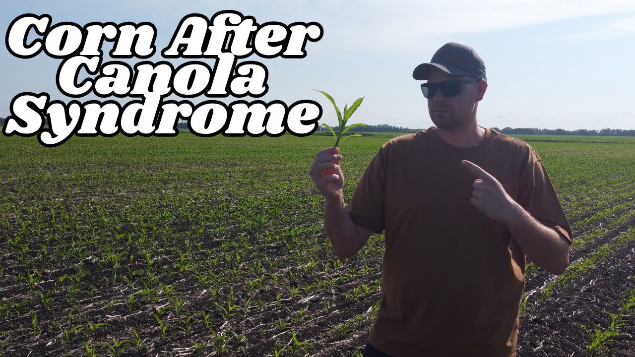 Avoid These Horrible Farming Mistakes