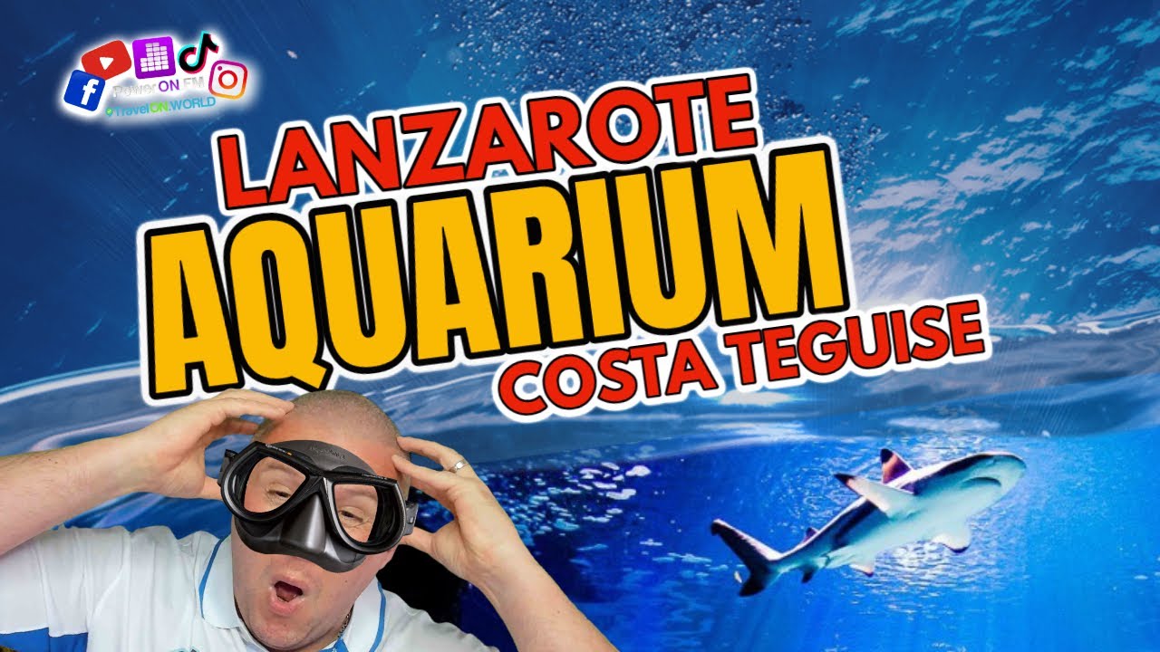Getting Up Close and Personal with Sharks at the Lanzarote Aquarium in Costa Teguise