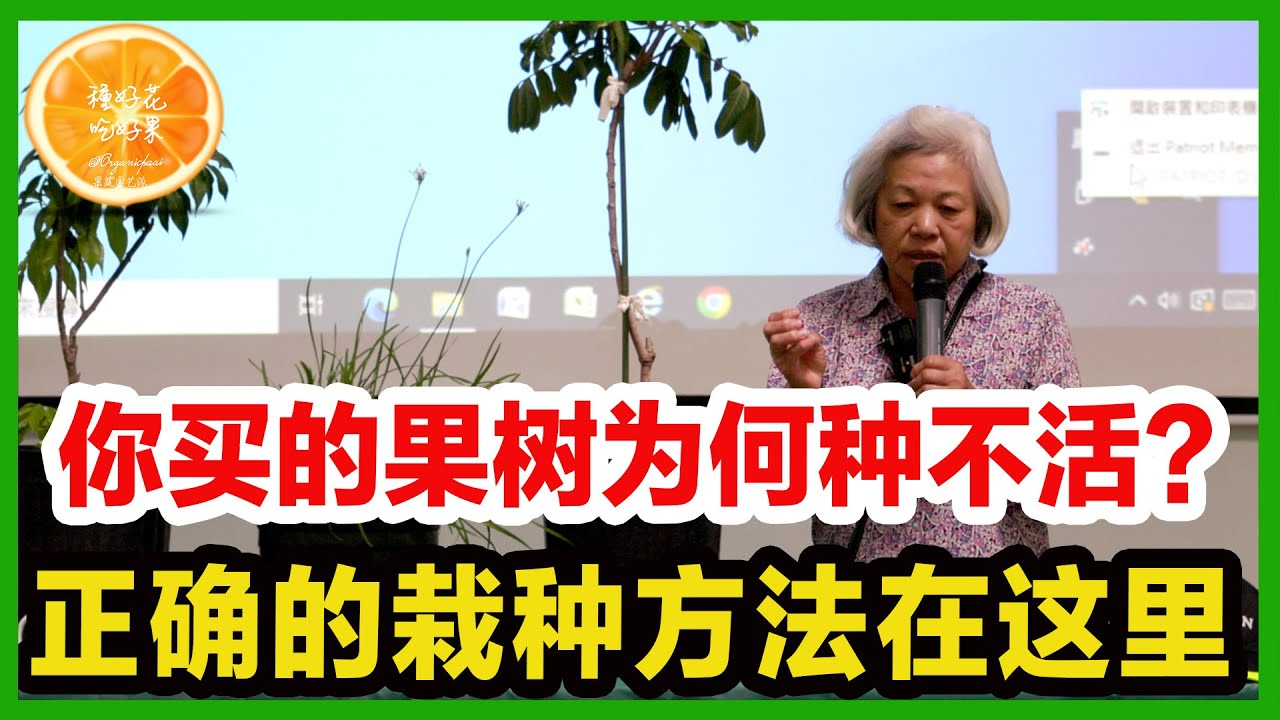 果树买回家后为何总是种不活？原来你种的方法都错了！很多人都不知道，正确的种植方法是这样的！果树种植必知技巧！盆子处理、土壤选择、施肥方法详解！| 有机果树
