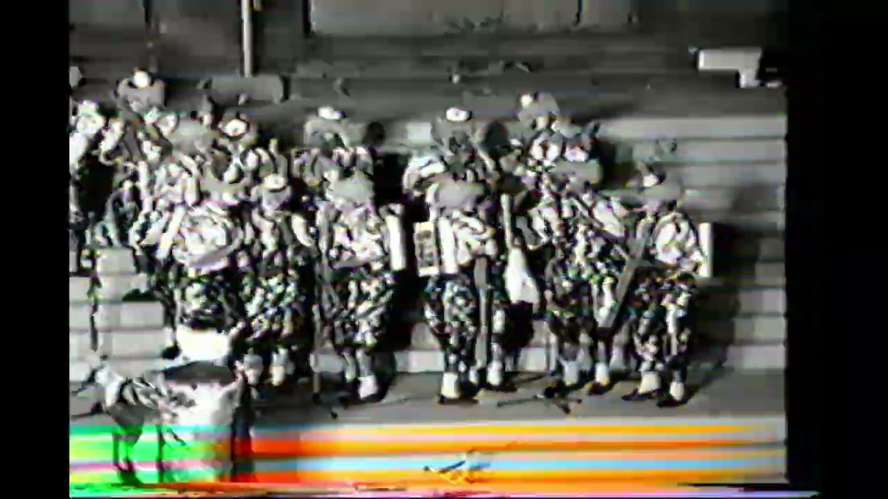 Virgueritos 1989 - Verdes al borde de un ataque de nervios + Despedida