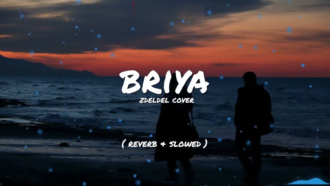 zdeldel - Briya ( Reverb & slowed )