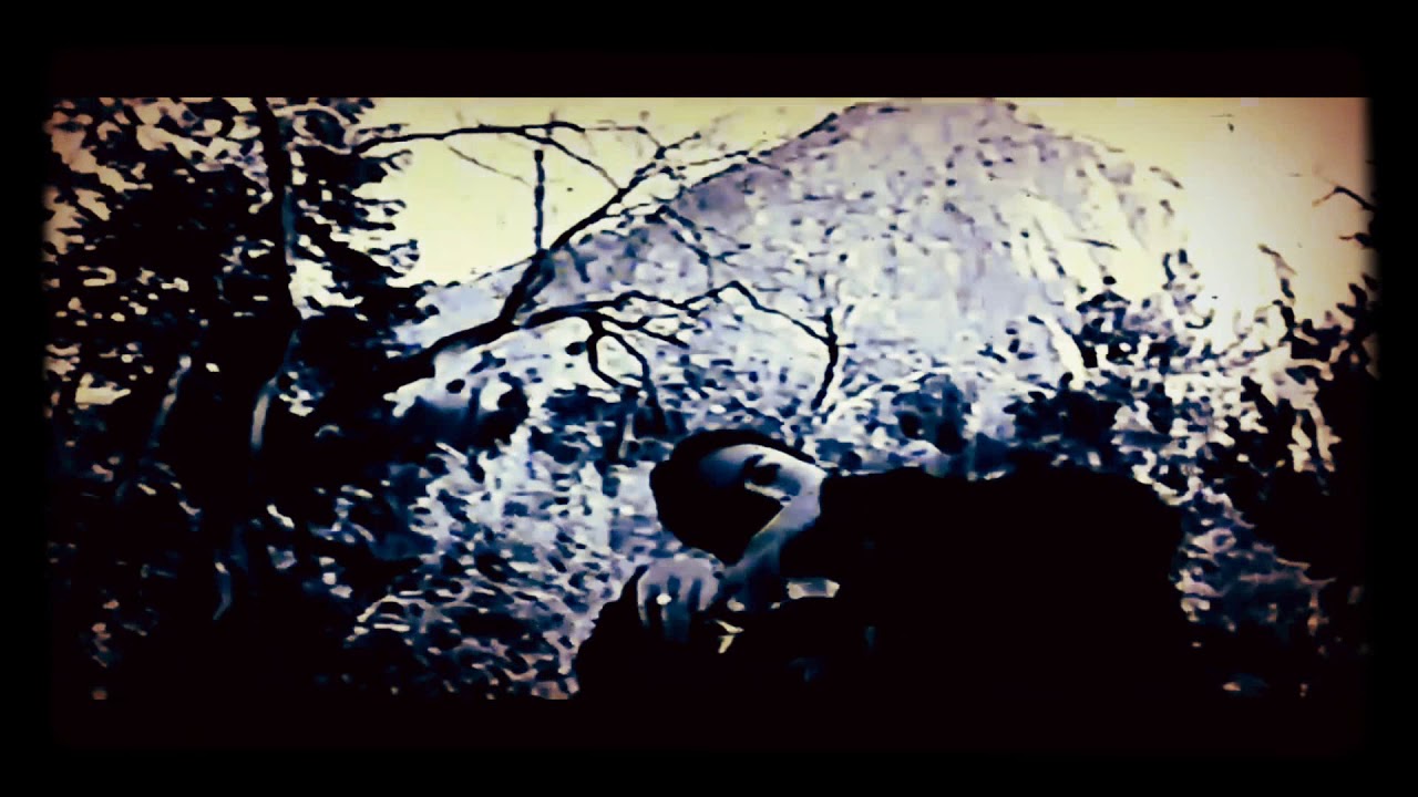 BONES — Butterfly (slowed + reverb)