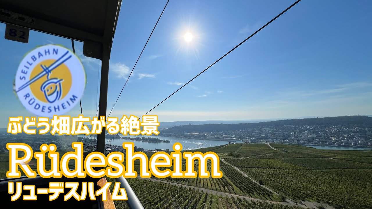 【ヨーロッパ周遊】ドイツ・リューデスハイム/ぶどう畑のパノラマビュー/ワイン生産地の絶景/ゴンドラ/ニーダーヴァルト記念碑