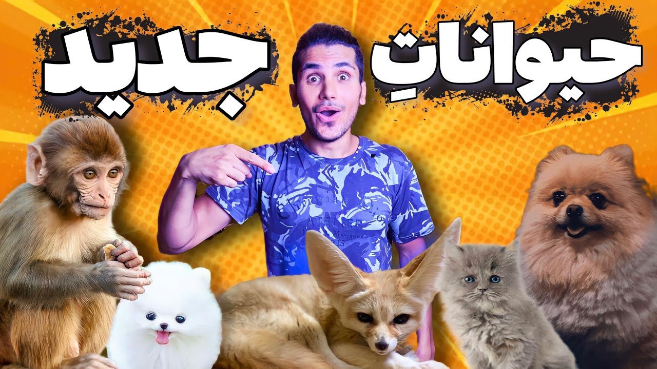ولاگ بازار حیوانات و این بار توله روباه، بچه میمون قرمز و سگ های نژاد جدید😱ANIMAL BAZZAR