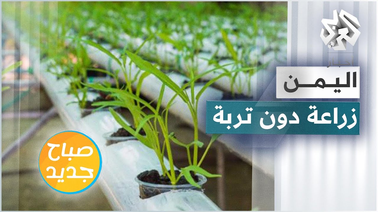 انتشار نظام الزراعة المائية في عدة محافظات يمنية