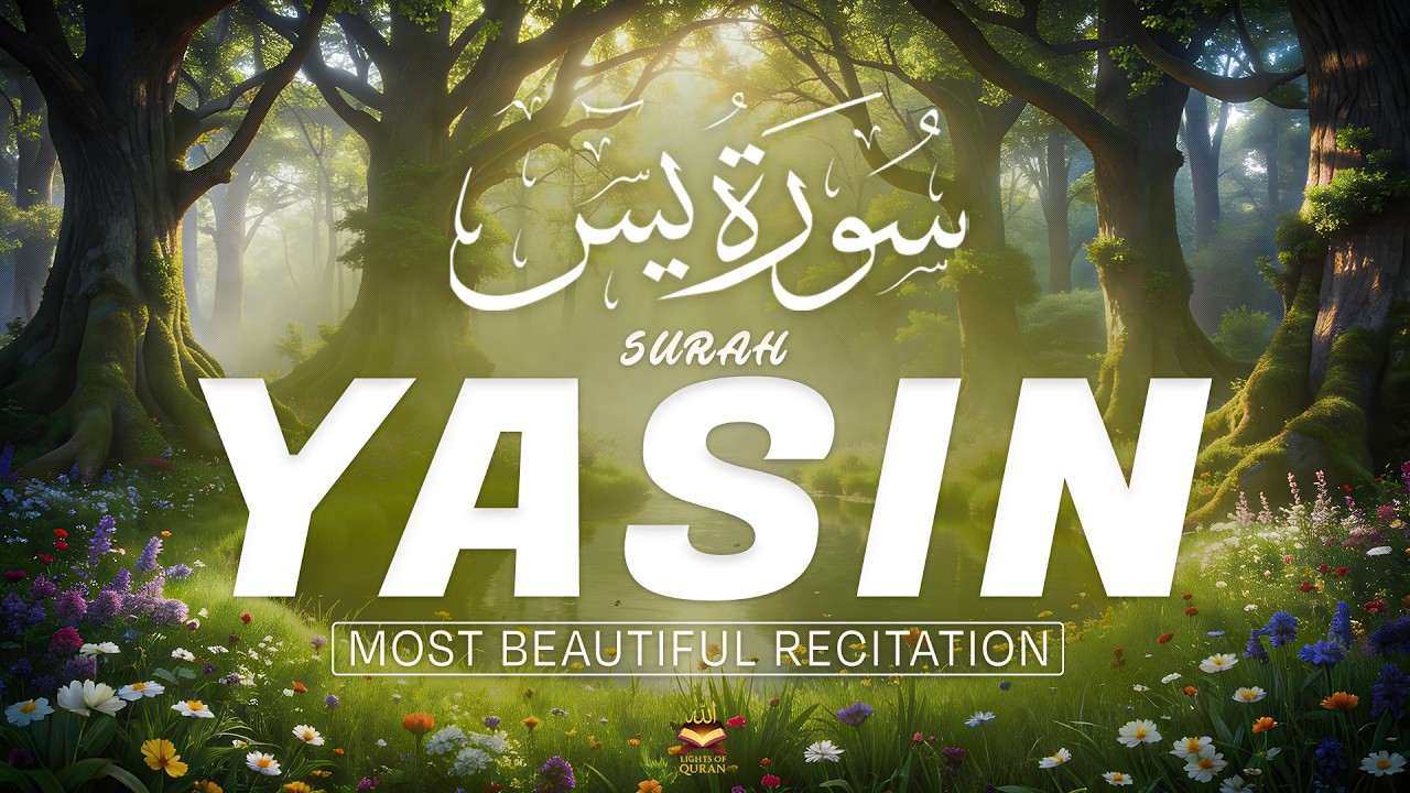 Surah Yaseen سورة يس | Calming Lofi Quran Recitation for Night Peace & Relaxation #quranforsleep