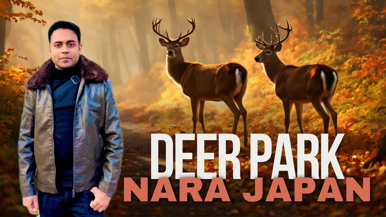 Nara Deer Park Japan 🇯🇵 | Worth it?