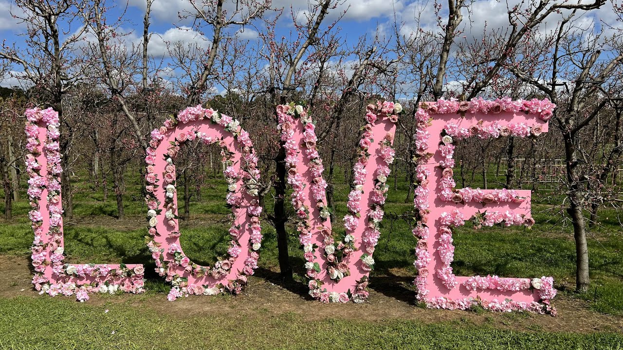 S&R Orchard Blossom Festival