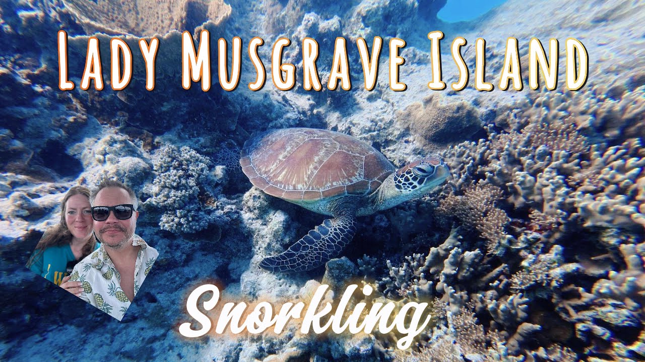 Australia 2025 / Part 3 / Lady Musgrave Island Snorkelling