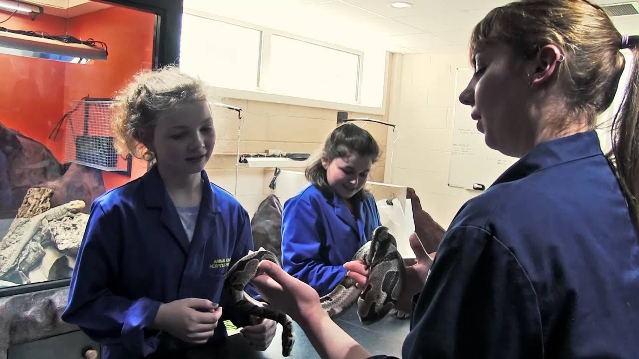 Animal Experience Day at Brinsbury