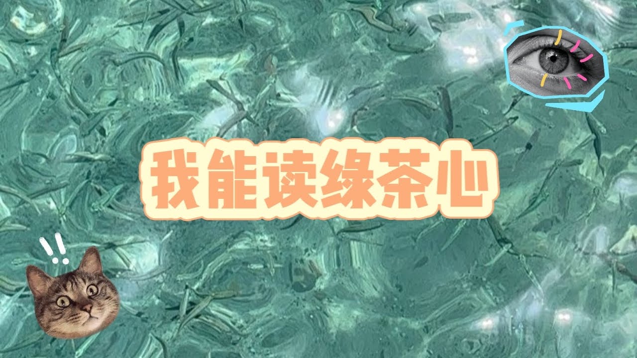 《我能读绿茶心》 绿茶想要勾搭我老公，霸占我家家产。 #一口氣看完 #小說推文 #已完结