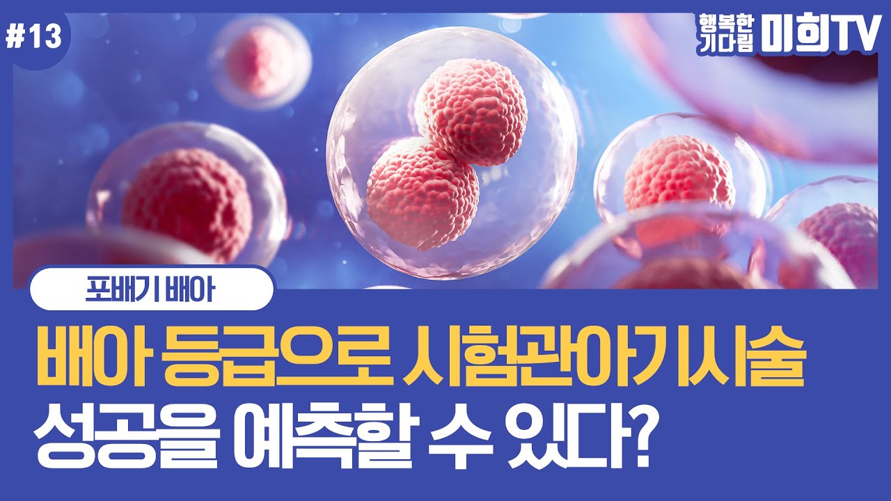 배아 등급이 좋으면 임신율이 올라가나요? 포배기 배아의 등급과 염색체 이상의 비율 등 알아봐요