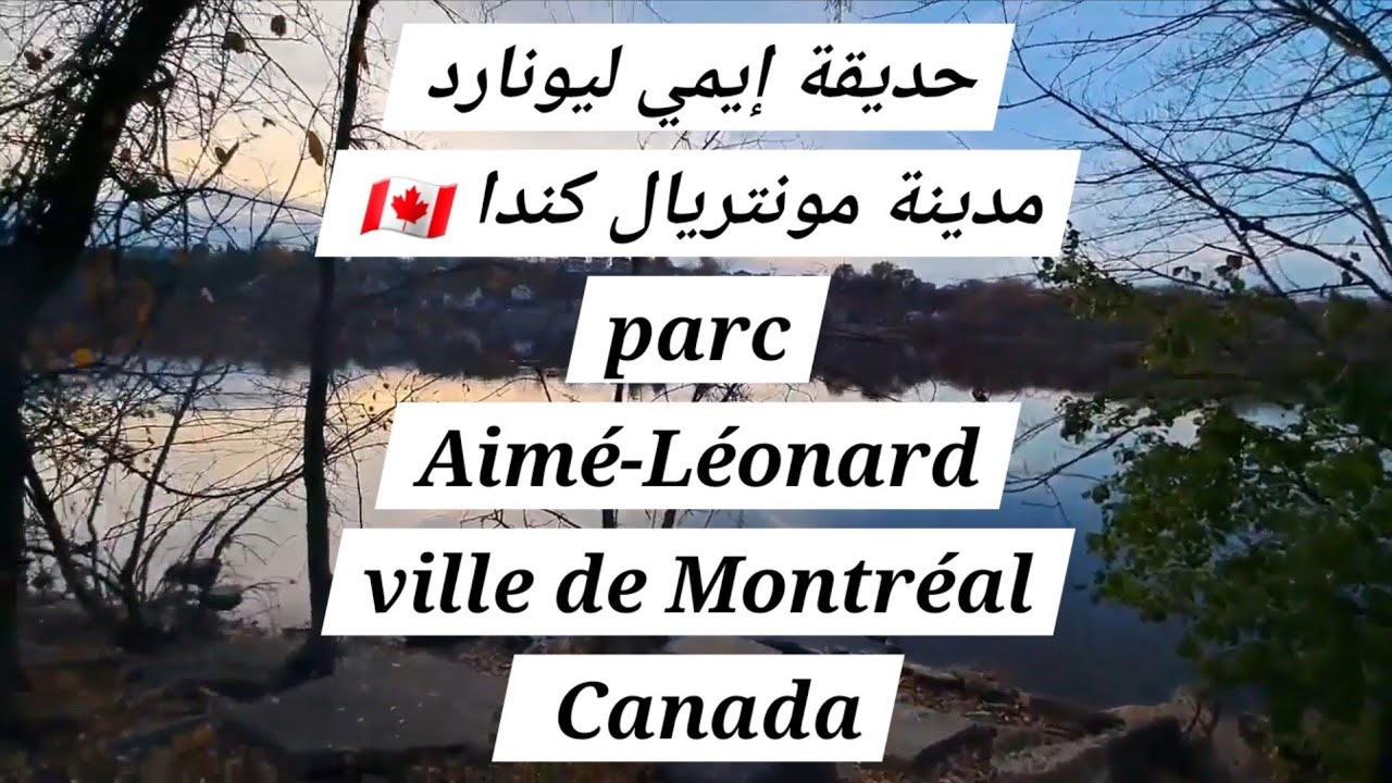 حقيقة  إيمي  ليونارد  مدينة  مونتريال  كندا  🇨🇦  parc  Aimé-Léonard  ville  de  Montréal  Canada 