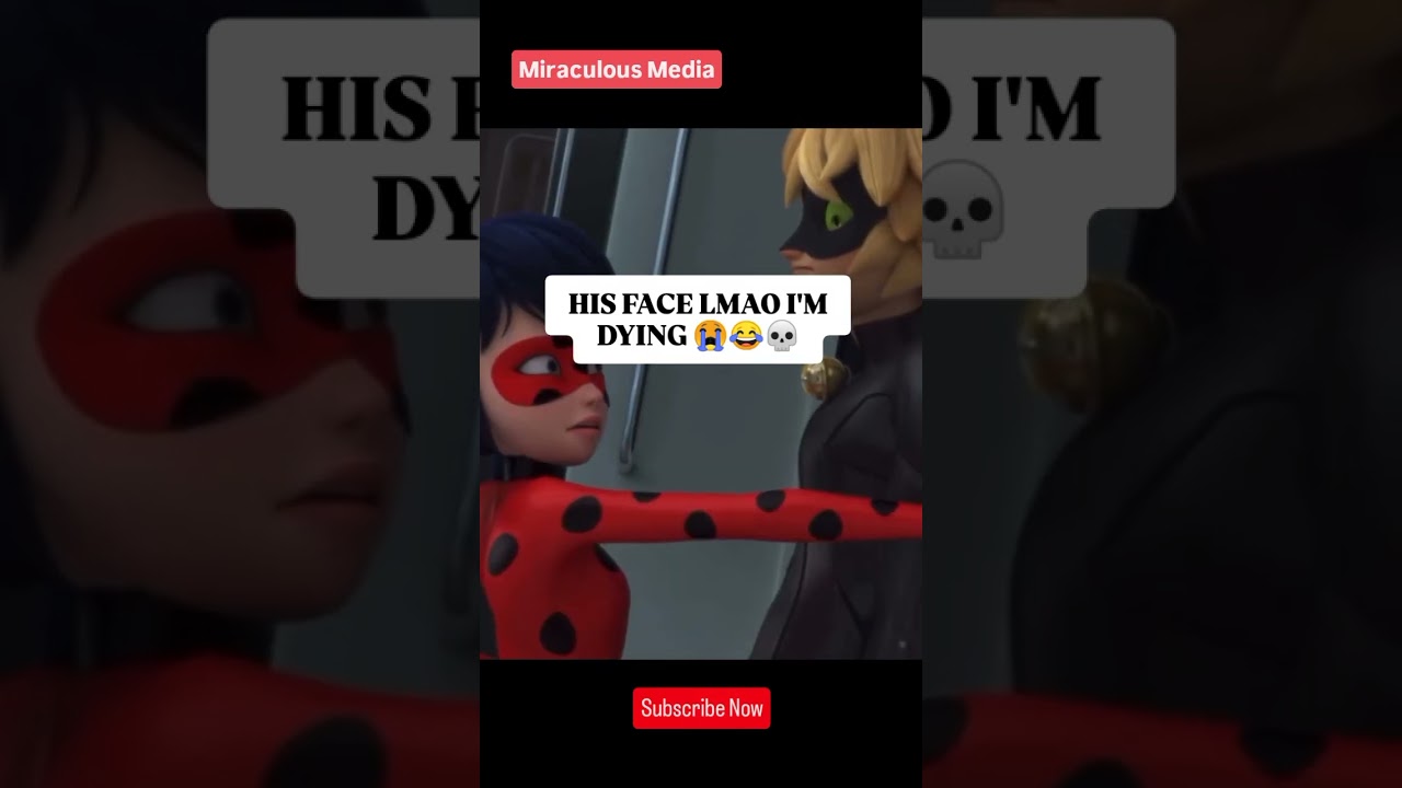 HIS FACE OMG I CAN'T 😭🙏🏻 || #ladybug #catnoir #ladynoir #saludamemarinette #marinetteyadrien #memes