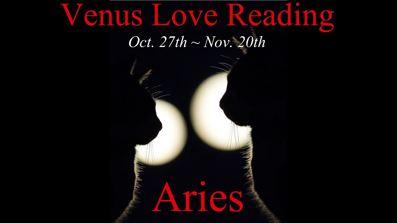 ♈️Aries ~ A Deeper Level Of Love! 💖 Venus Love Reading