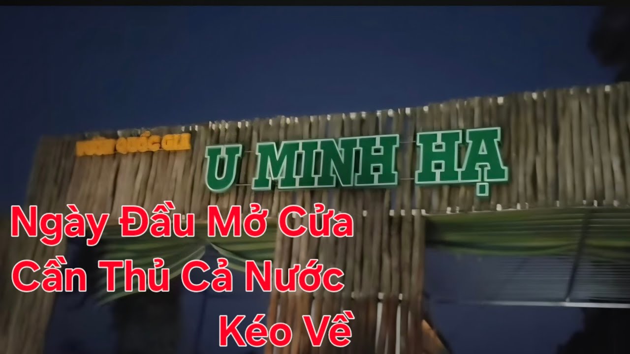 Câu Cá U Minh Hạ.Những Con cá trê vàng khủng Rừng Của Rừng.#tranchungcuchi 