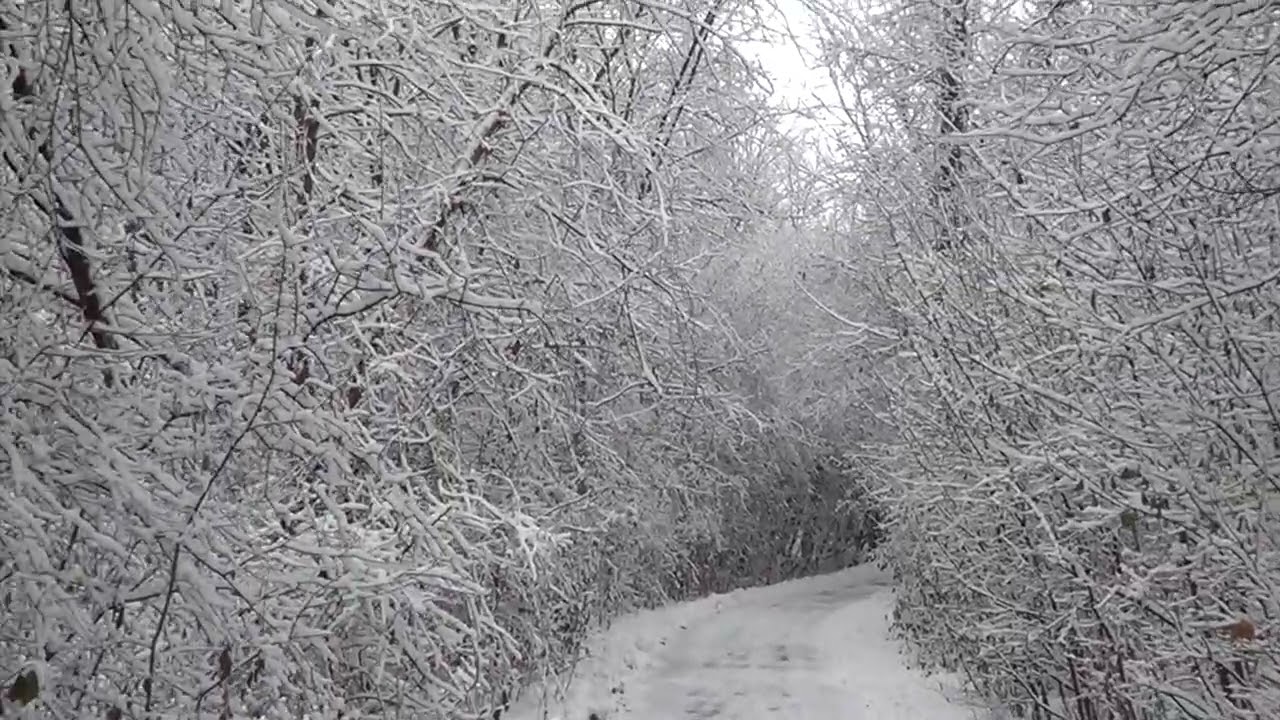 Winter in Toronto #Toronto