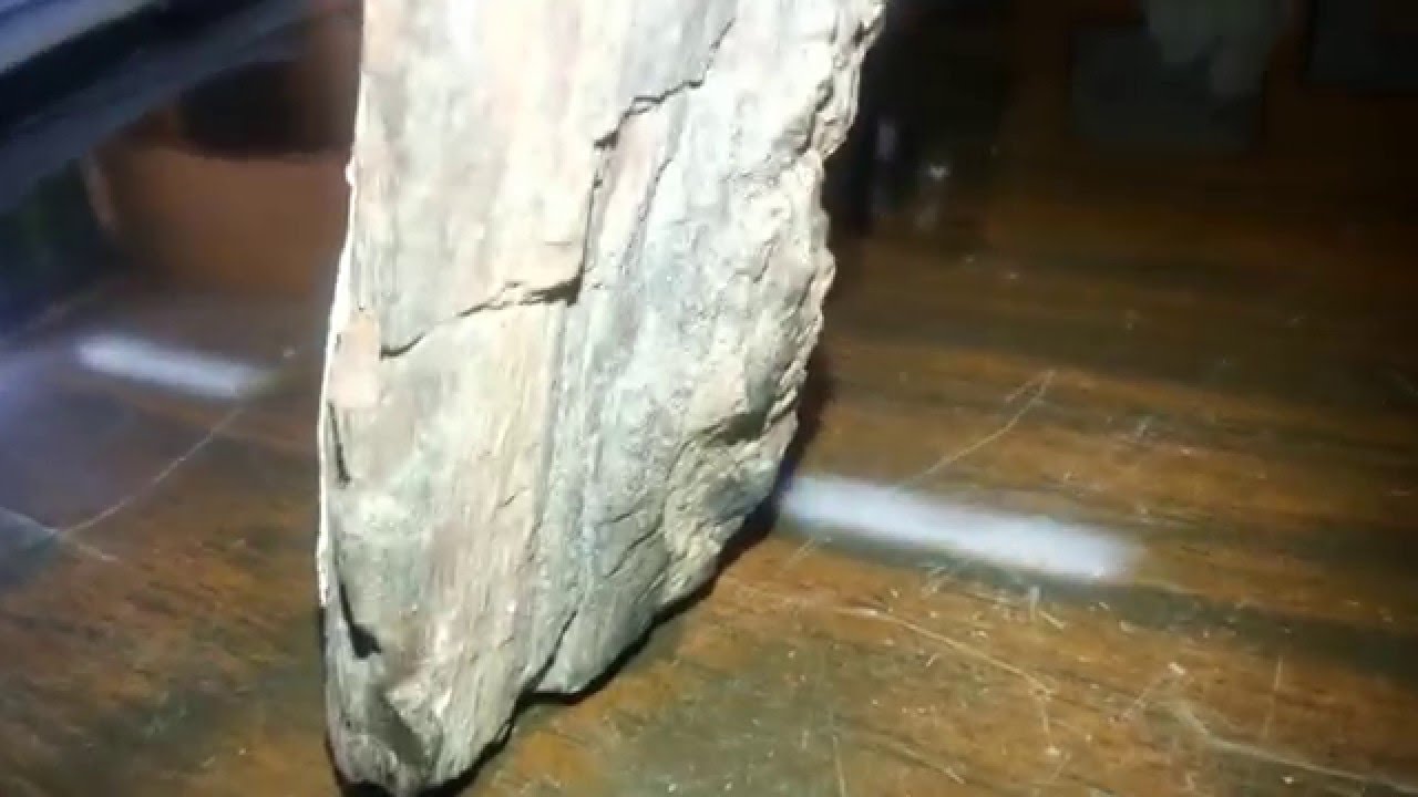 XILOPALO